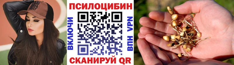 Галлюциногенные грибы GOLDEN TEACHER  маркетплейс Telegram  Вихоревка  хочу наркоту 