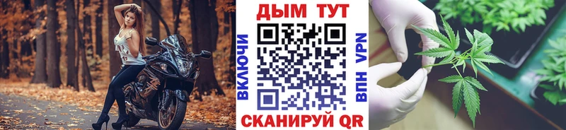 МЕГА ссылки  где можно купить   Вихоревка  Шишки марихуана White Widow 